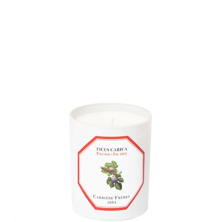 Figuier - Ficus Carica Bougie Parfumée - Carrière Frères - Incenza