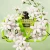 Valentino Born in Roma Green Stravaganza Donna Eau de Parfum pour Elle Florale Ambrée Boisée