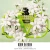 Valentino Born in Roma Green Stravaganza Donna Eau de Parfum pour Elle Florale Ambrée Boisée