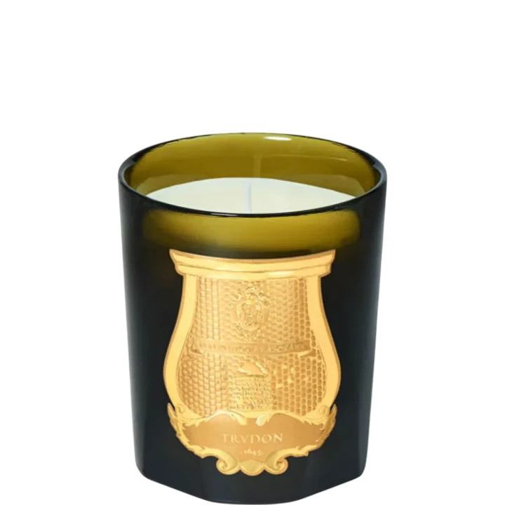 Tuileries Bougie Parfumée Vert Antique - Trudon - Incenza