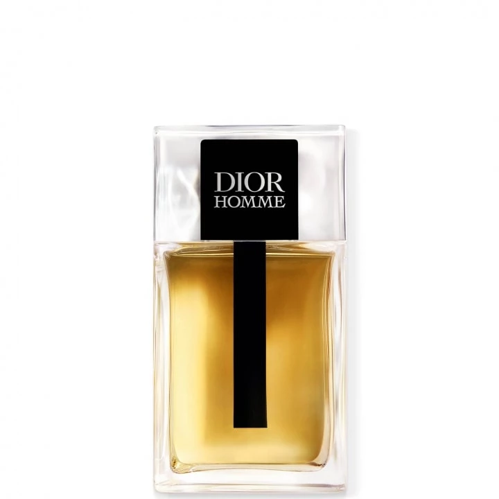 Dior Homme Eau de Toilette 100 ml - DIOR - Incenza