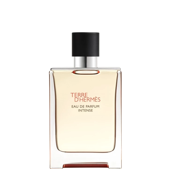 Terre d'Hermès Eau de Parfum Intense - 100 ml - HERMÈS - Incenza