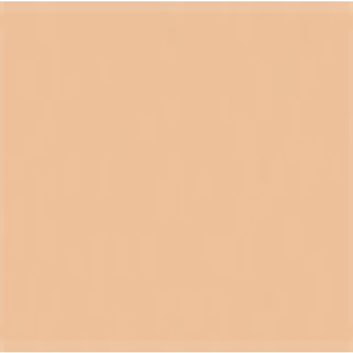 040 - Intense Warm Beige