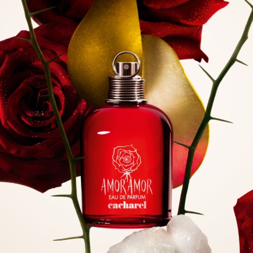 Parfum Amor Amor CACHAREL - incenza